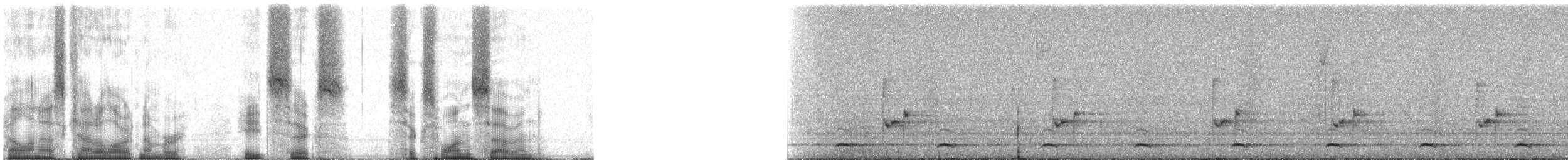 Сичик-горобець гірський (підвид gnoma) - ML86617
