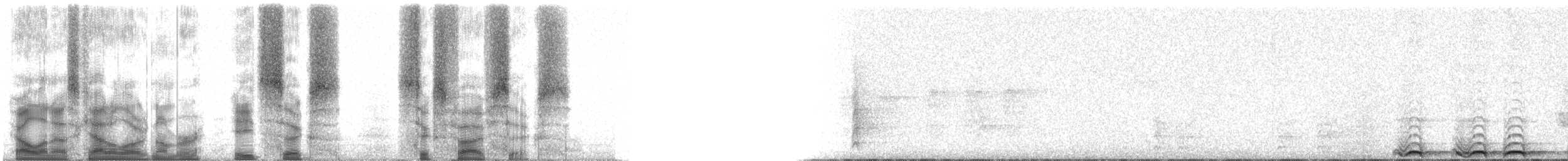 Fulvous Owl - ML86656