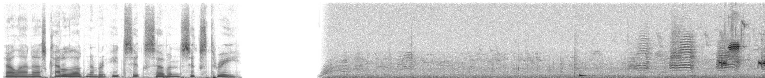 Vampire Ground-Finch - ML86763