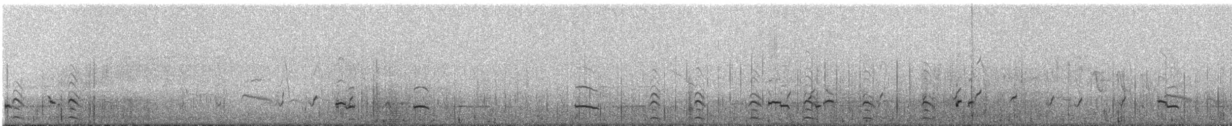 Langflügel-Dampfschiffente - ML86784081