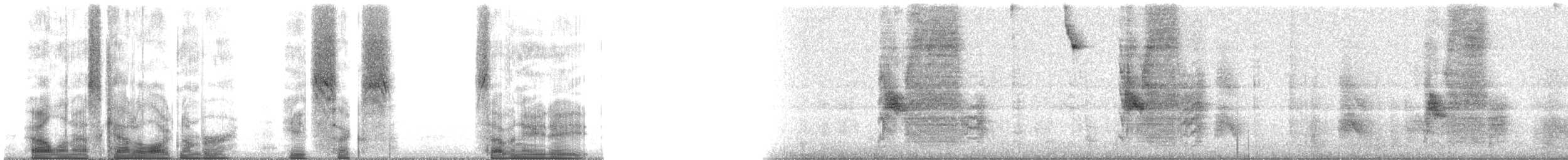 Cocos Finch - ML86788