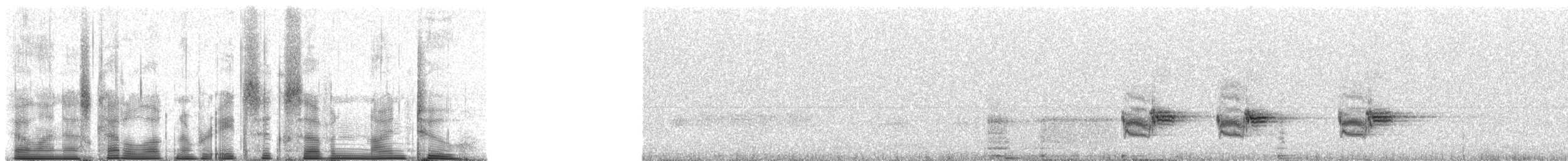 Large Tree-Finch - ML86792