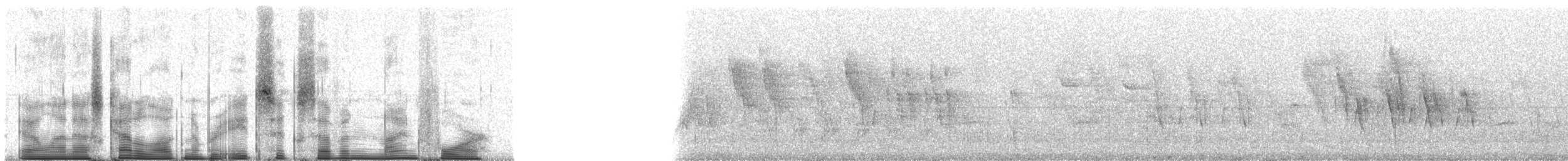 Large Tree-Finch - ML86794