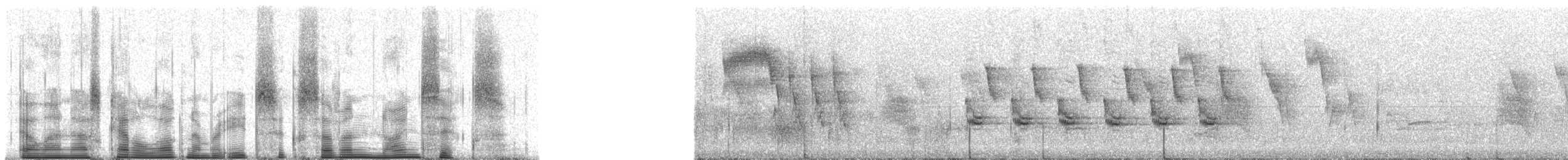 Large Tree-Finch - ML86796