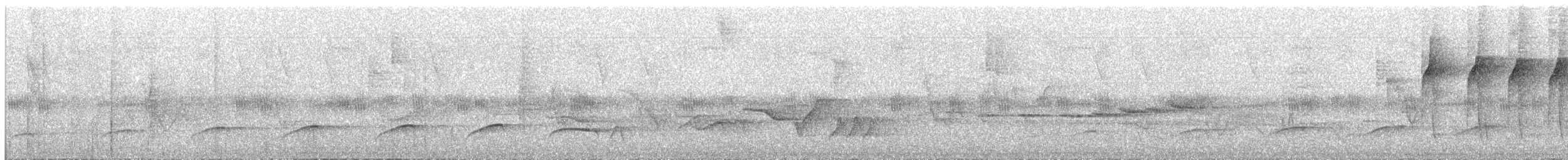 Ochraceous Attila - ML86816941