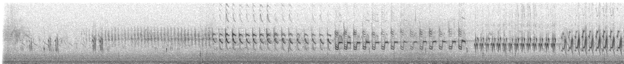 Bec-croisé bifascié - ML86861001