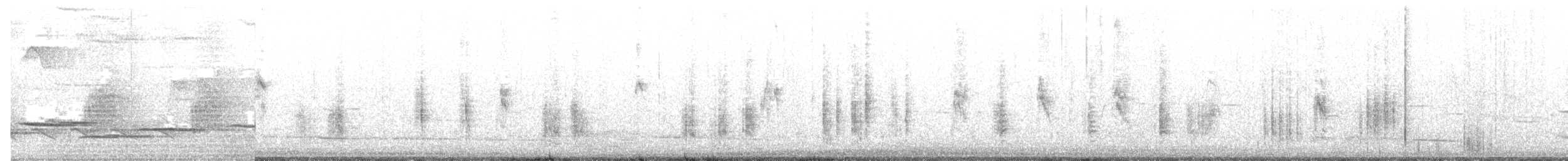 Очеретянка sp. - ML86905751