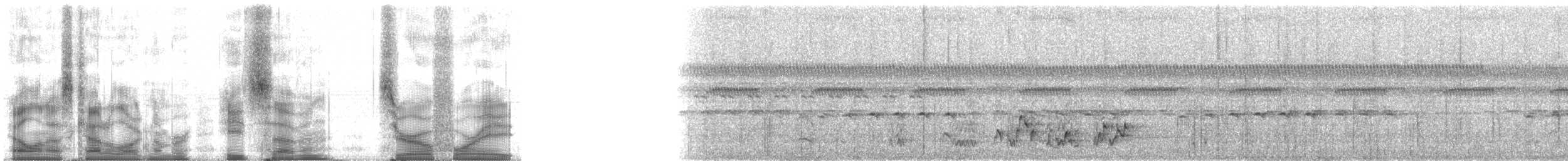 Simple Greenbul - ML87048