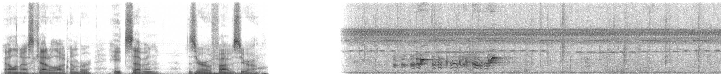 Simple Greenbul - ML87050