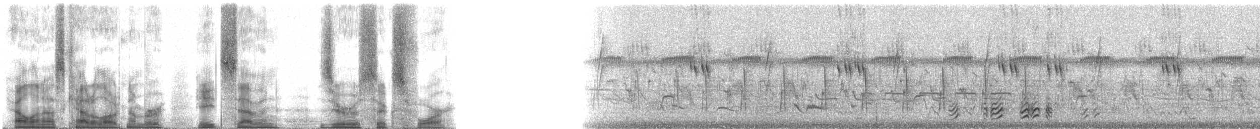 Simple Greenbul - ML87064