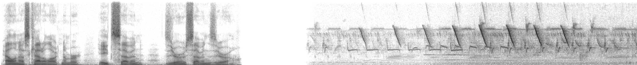 kobbersolfugl - ML87070