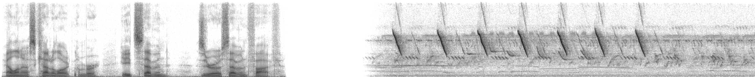 kobbersolfugl - ML87075