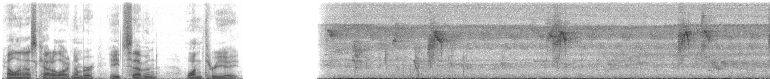 Саїманга оливкова - ML87138