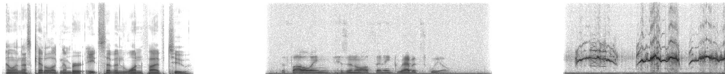 Eastern Cottontail - ML87152