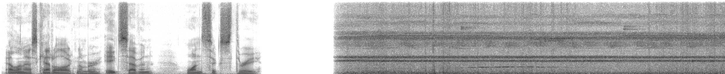 Пугач плямистогрудий - ML87163