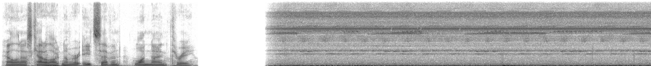 Синегорлый широкорот - ML87193