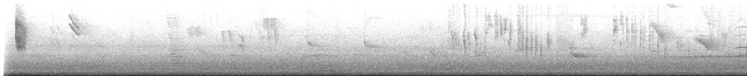 Colibrí Cometa - ML87203181