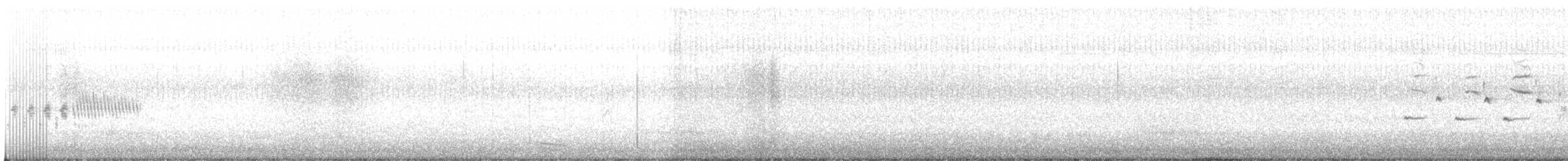 Singammer - ML87326571