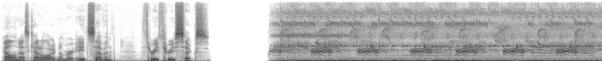 Gelbbrauen-Bogenflügel - ML87336