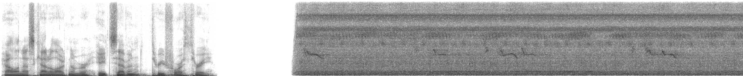 Нектарець каштановий - ML87343