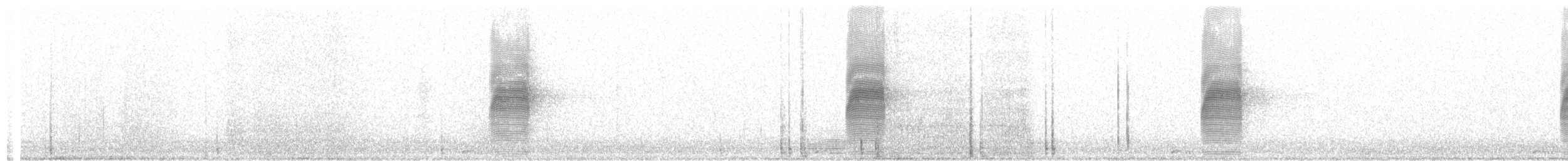 sluka americká - ML87348751