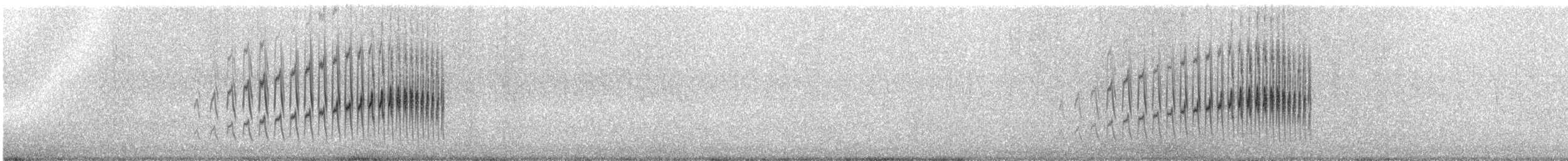 Damalı Sepetören [sclateri grubu] - ML87387791
