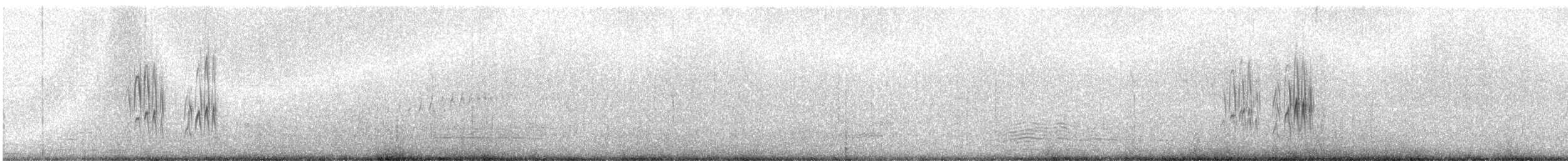 Damalı Sepetören [sclateri grubu] - ML87448841