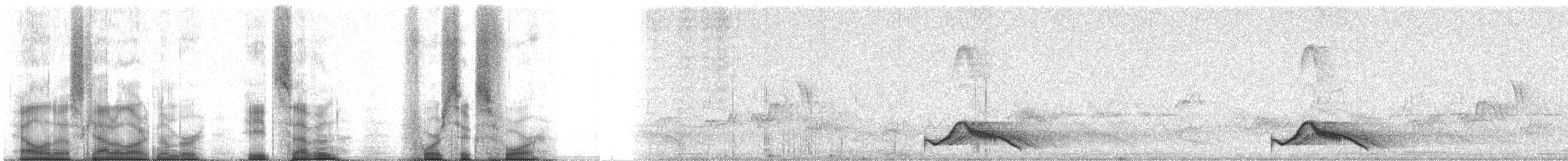 Common Pauraque - ML87464