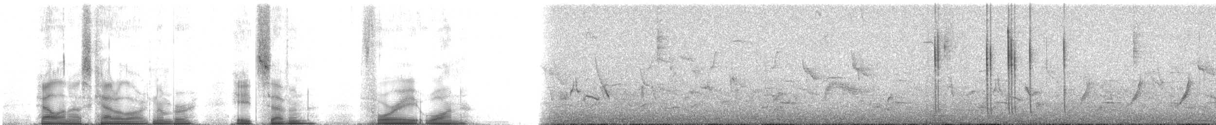 Юкатанская амазилия (cerviniventris/chalconota) - ML87481
