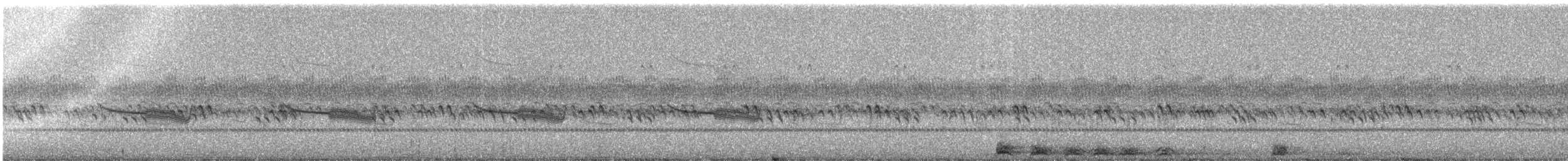 Breitspiegel-Nachtschwalbe - ML87551901