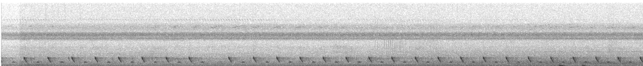 Jungle Nightjar - ML87571151