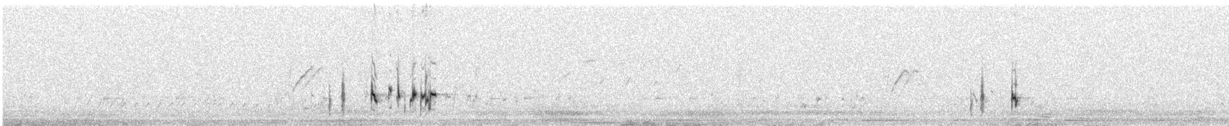 White-eared Bulbul - ML87582701