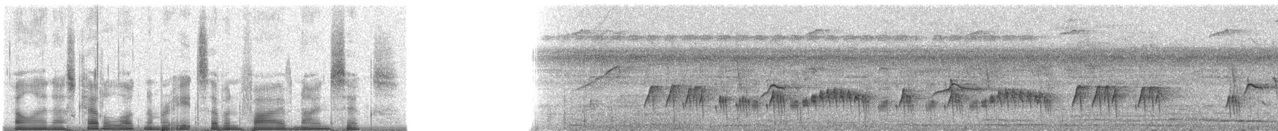 Rußkappen-Kleintyrann - ML87596