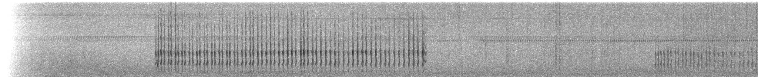 Belted Kingfisher - ML87683231