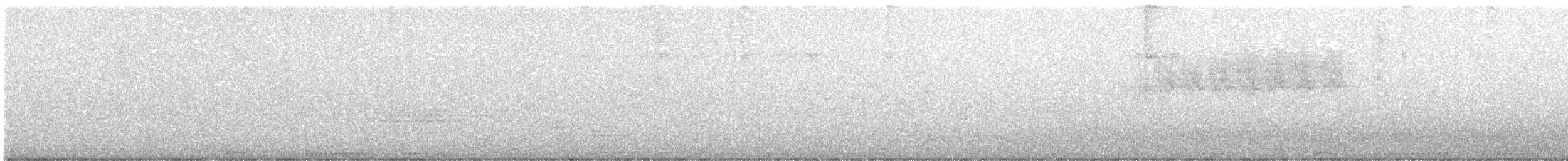 holub antilský - ML87685021