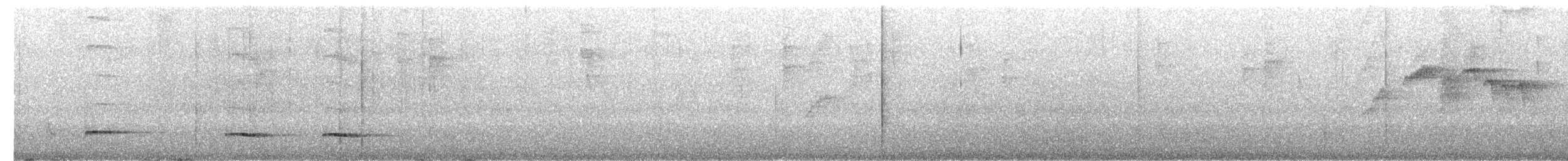 Graubrust-Ameisendrossel - ML87687741