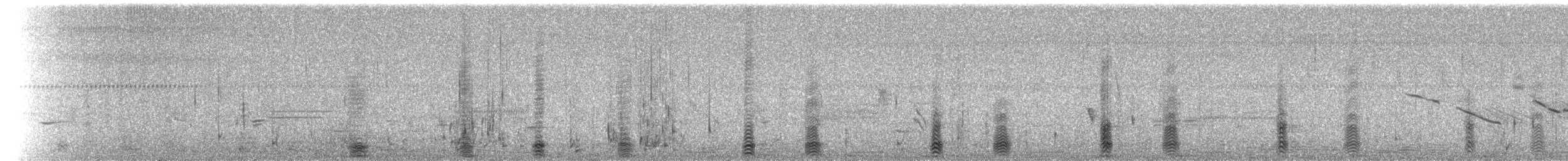 Western Cattle-Egret - ML87688671