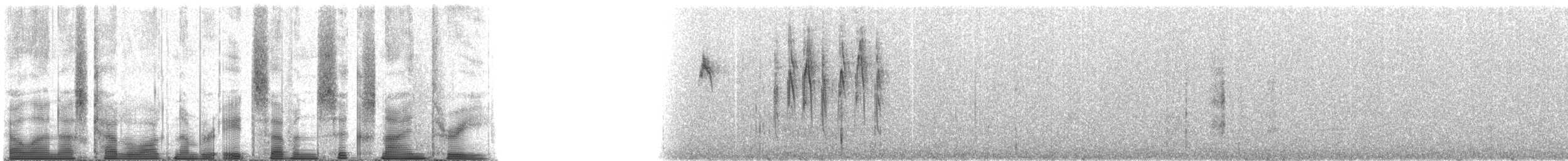 Conirostre des tamarugos - ML87693