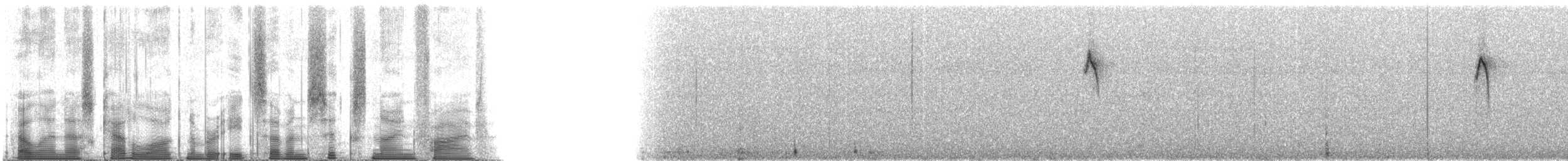 Conirostre des tamarugos - ML87695