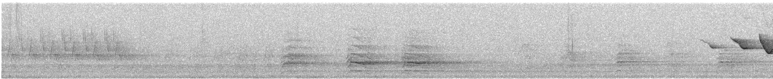 Louisiana Waterthrush - ML87711011