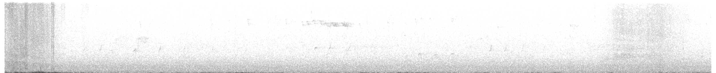 Bec-croisé des sapins (type 12) - ML87735841