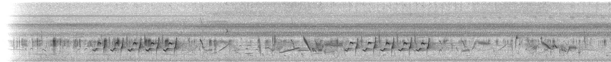 Carolina Wren - ML87744961