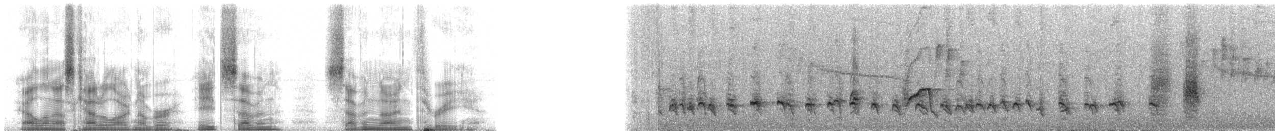 Fork-tailed Drongo - ML87793