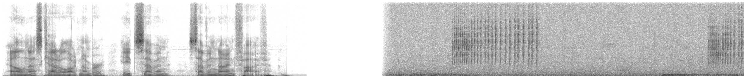 White-browed Scrub-Robin - ML87795