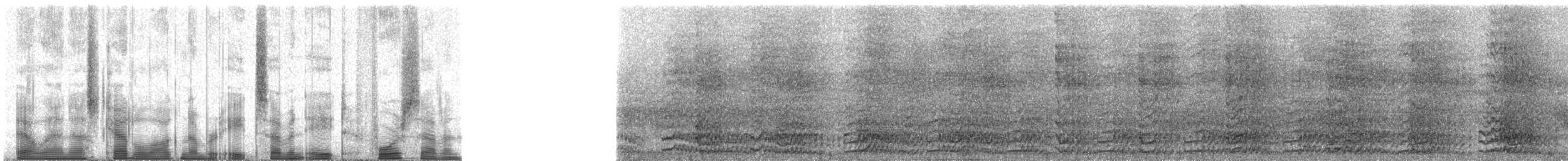 Rothalsspecht - ML87847