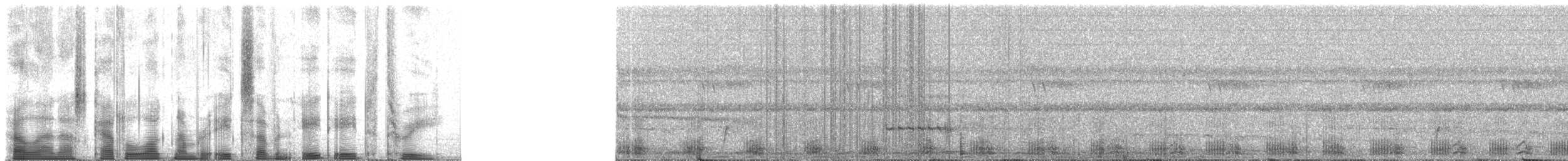 ミナミキバシミドリチュウハシ（atrogularis／dimidiatus） - ML87883