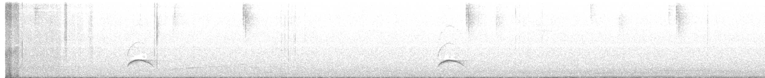 White-crested Elaenia - ML87913301