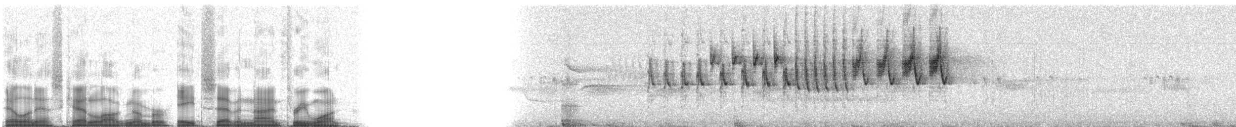 Rufous-capped Warbler (rufifrons Group) - ML87931