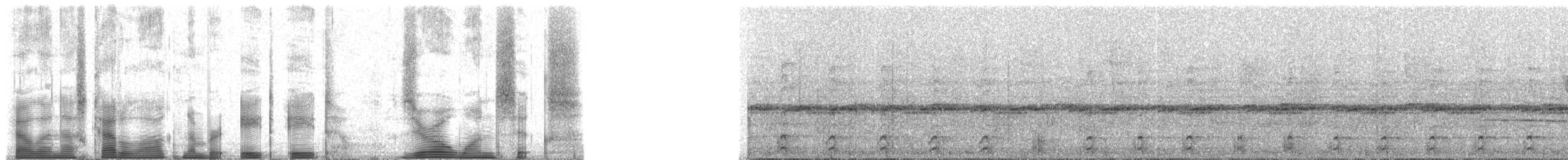 ミナミキバシミドリチュウハシ（atrogularis／dimidiatus） - ML88016