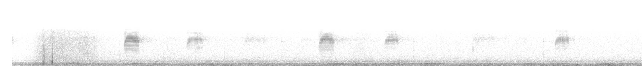 American Woodcock - ML88061551